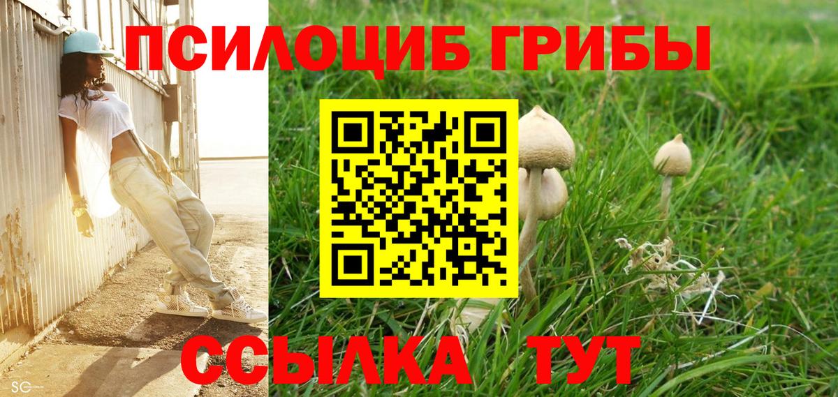 Псилоцибиновые грибы Psilocybine cubensis  Вход с VPN  Химки 